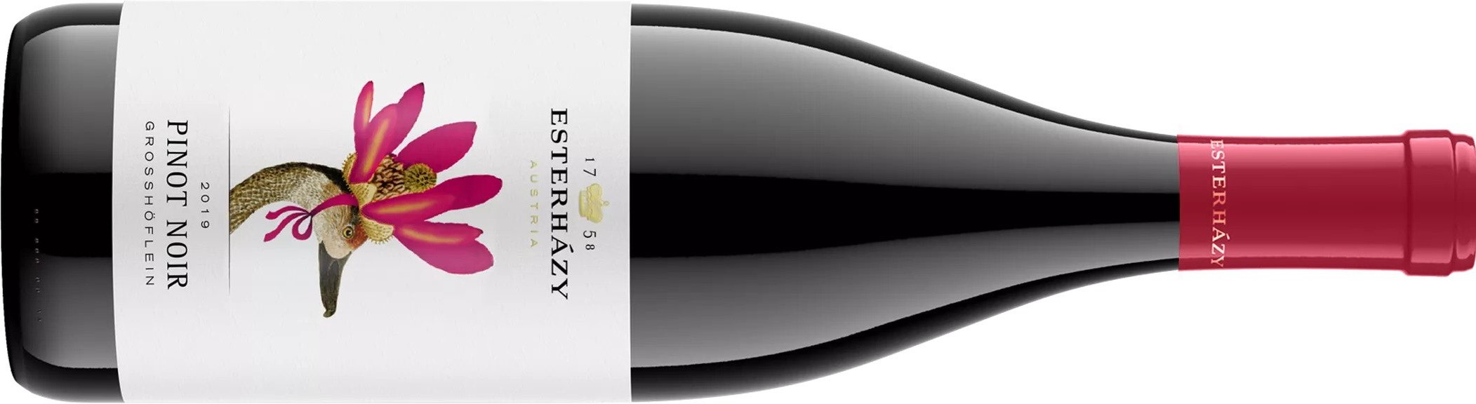 Esterházy Pinot Noir Großhöflein